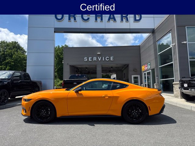 Certified 2026 Ford Mustang Coupe w/ Mustang Nite Pony Package RWD image 3