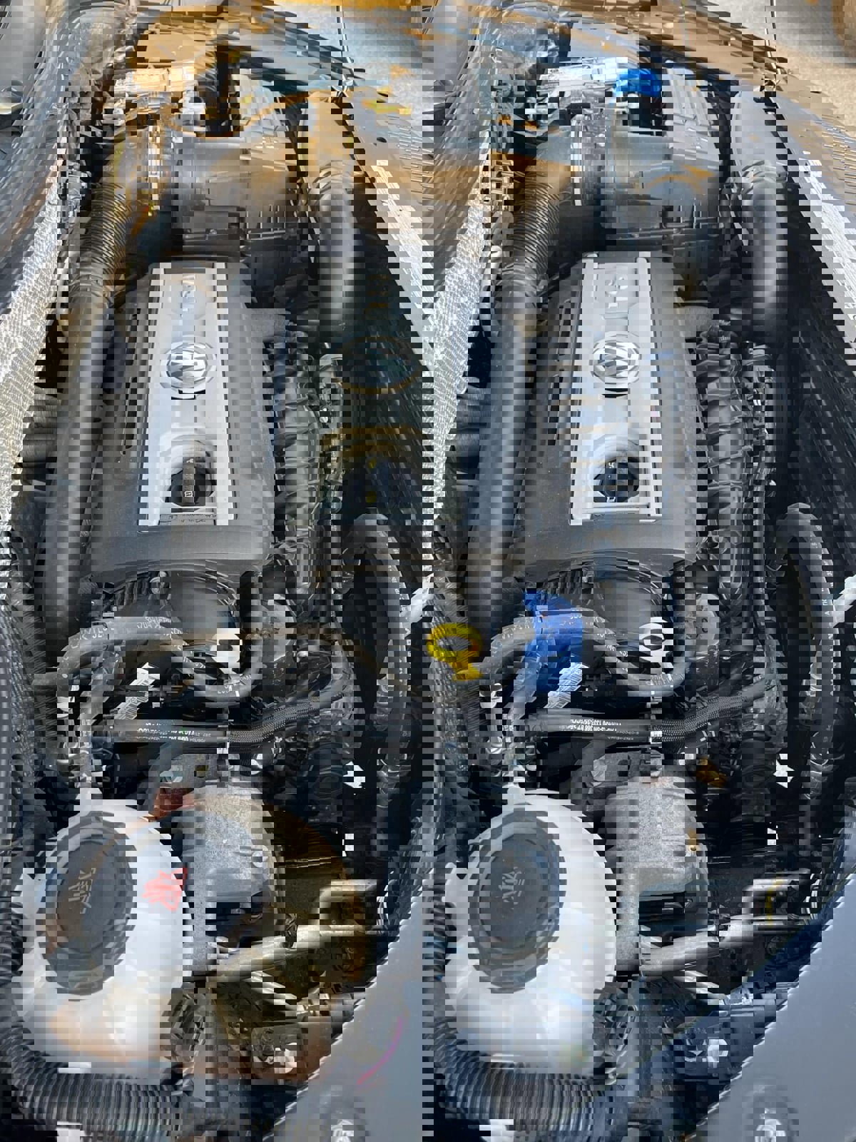 Used 2017 Volkswagen Tiguan Limited w/ Premium Package image 16