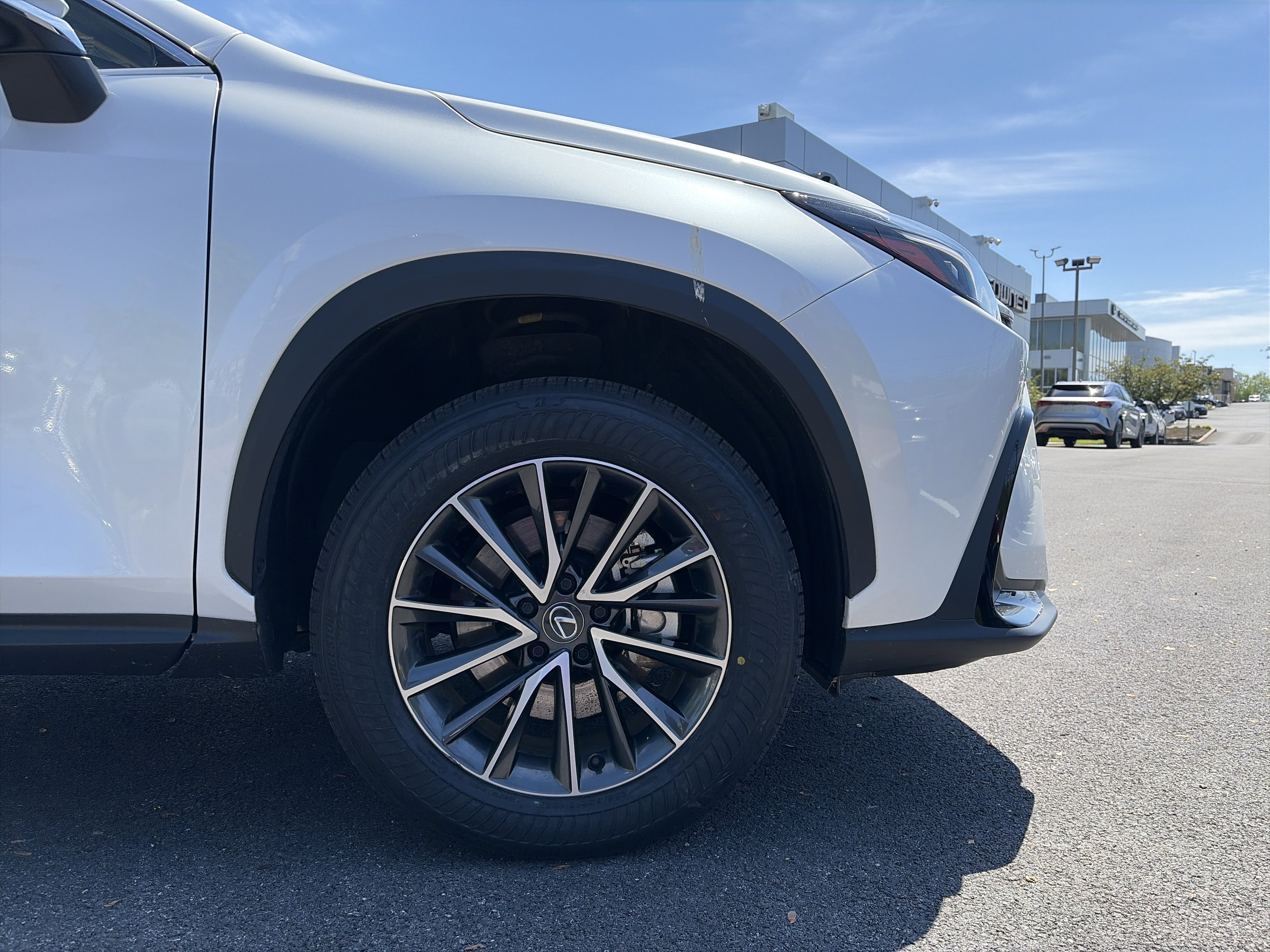 Used 2024 Lexus NX 350h AWD image 16