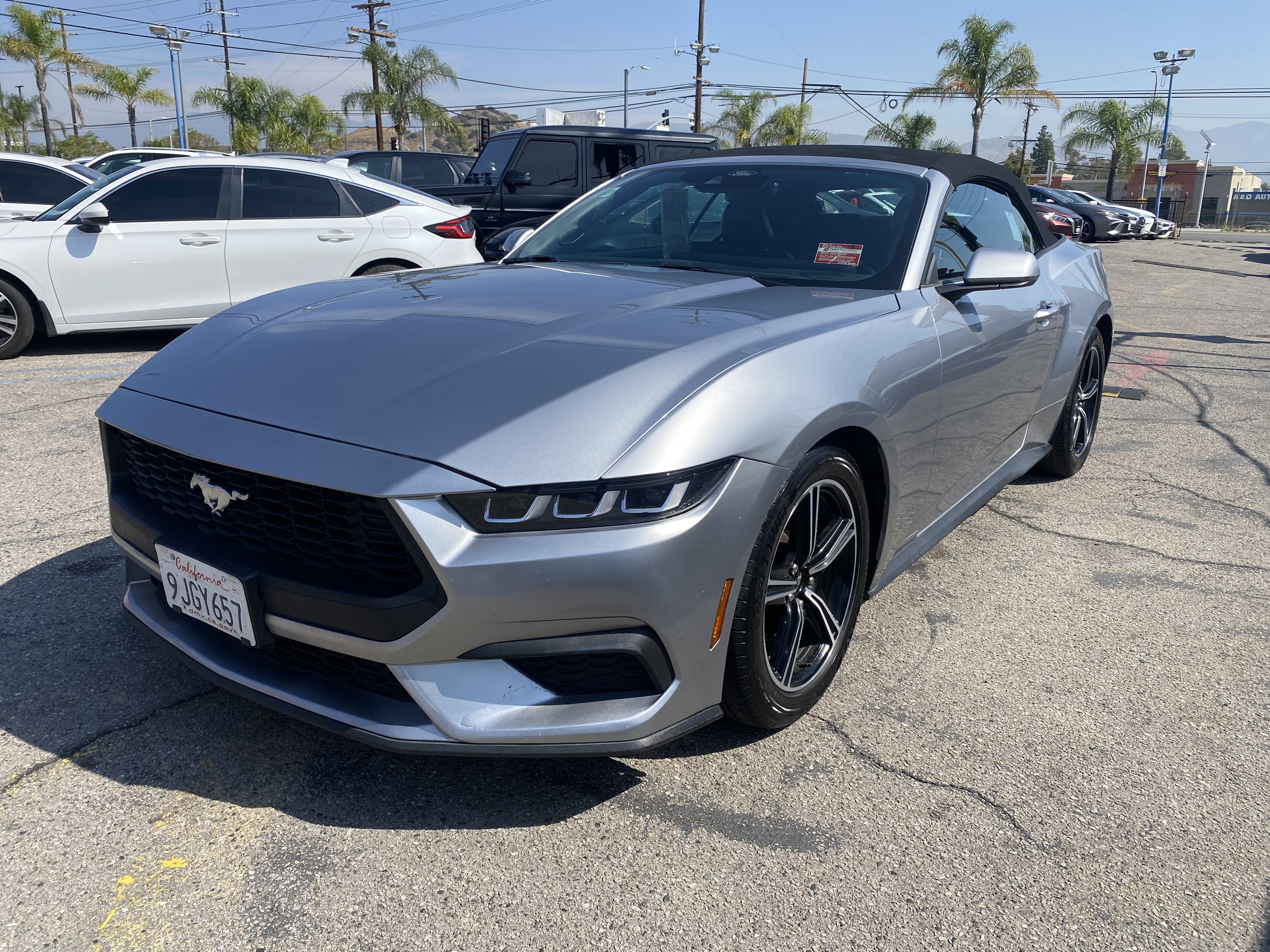 Used 2024 Ford Mustang Premium RWD image 2