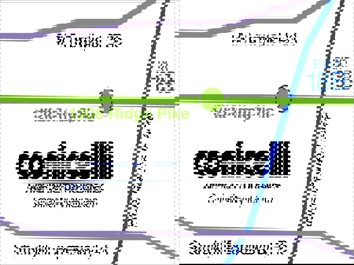 Certified 2025 Hyundai Elantra SEL image 32