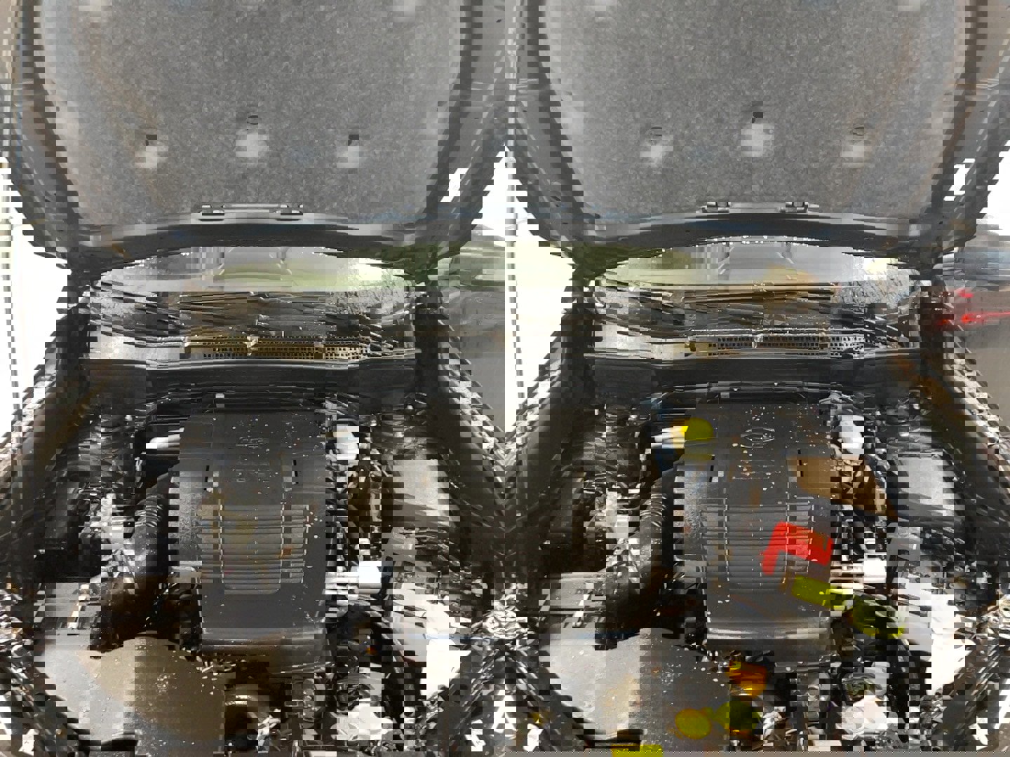 Used 2024 Subaru Forester Wilderness image 25