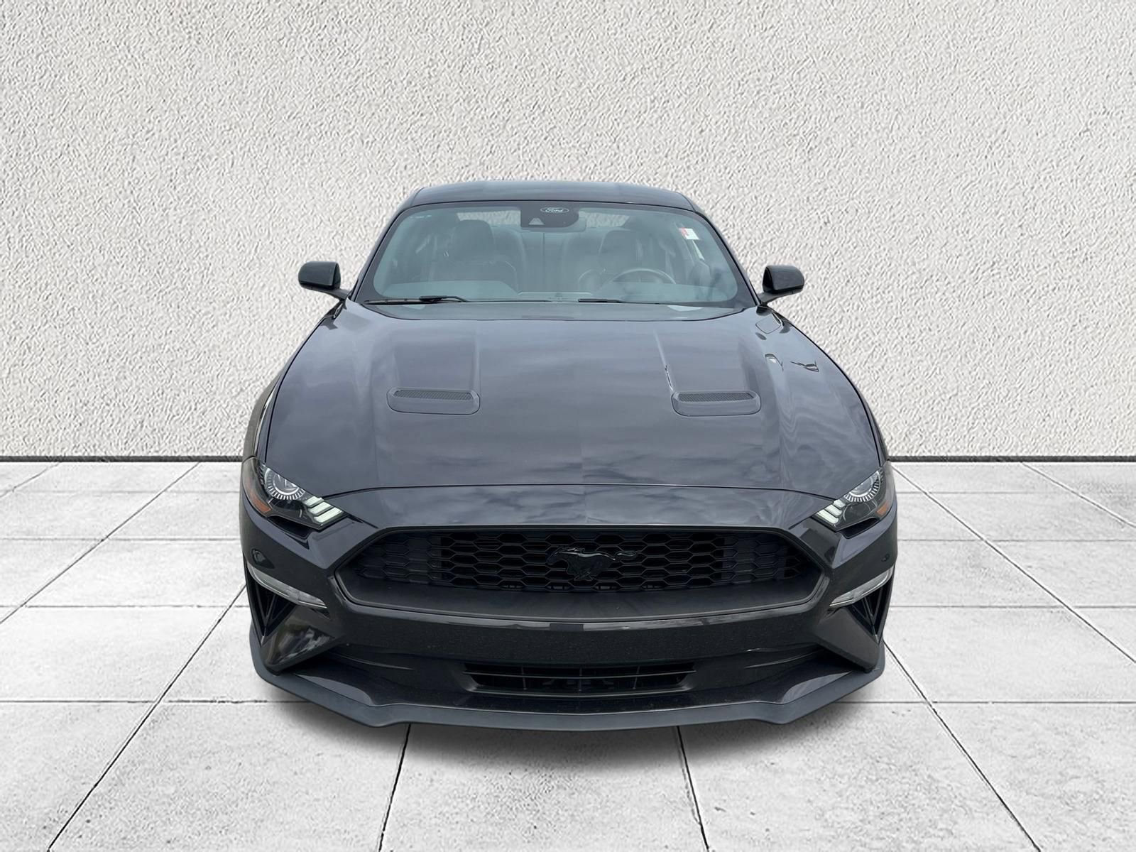 Used 2023 Ford Mustang Premium w/ Mustang Nite Pony Package image 3