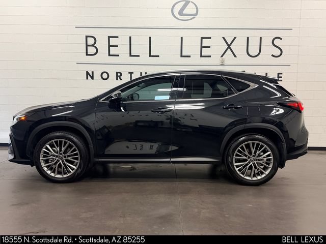 Certified 2025 Lexus NX 350h AWD w/ Accessory Package (2T) image 7