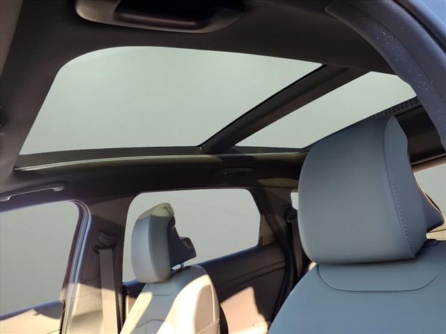 Used 2024 Kia Sportage X-Pro image 20