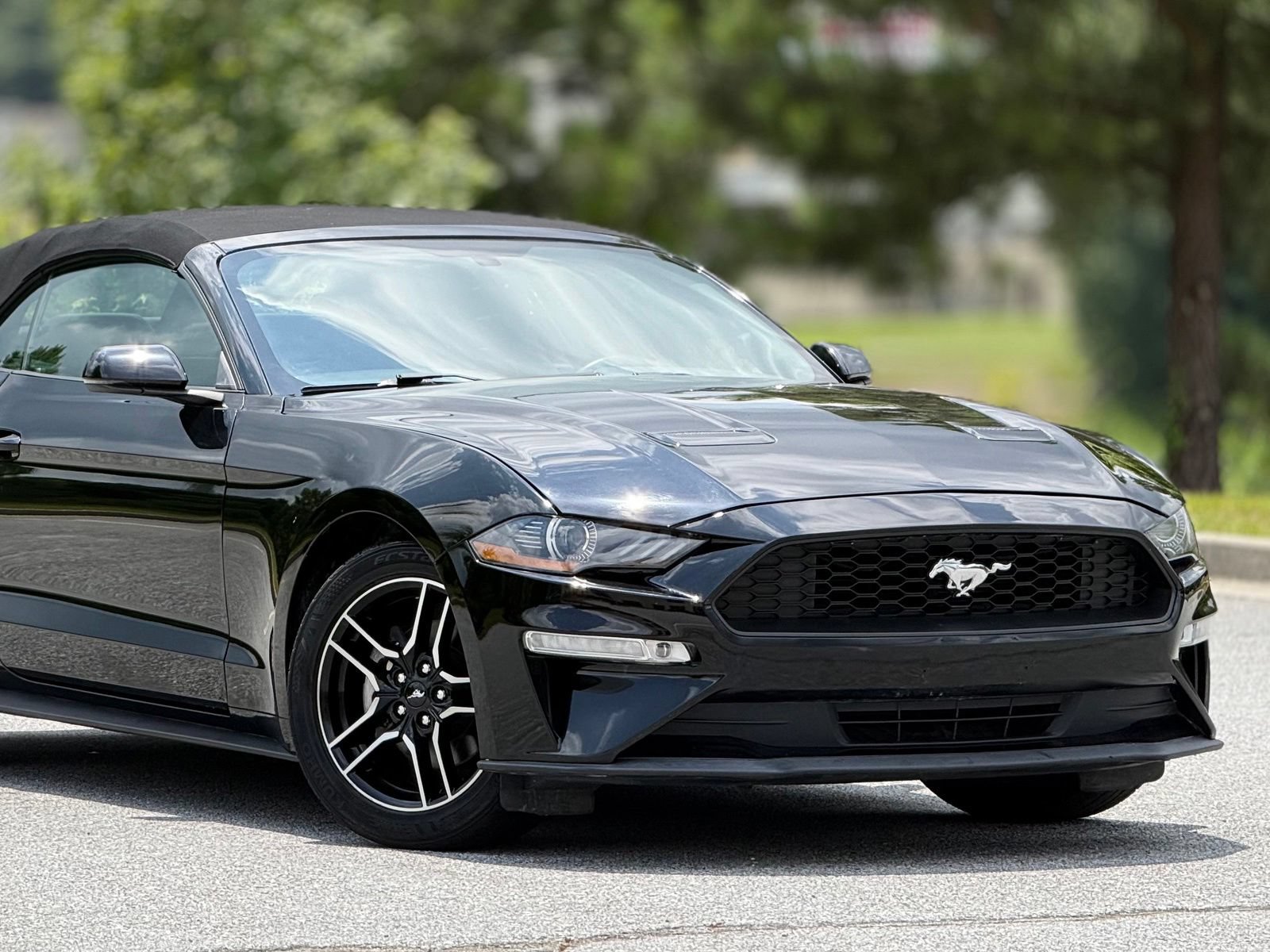 Used 2019 Ford Mustang Premium RWD image 43