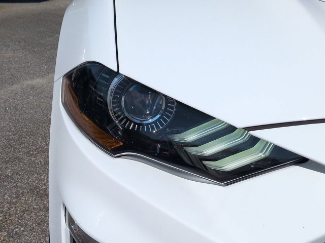 Used 2023 Ford Mustang Premium w/ Equipment Group 201A RWD image 10