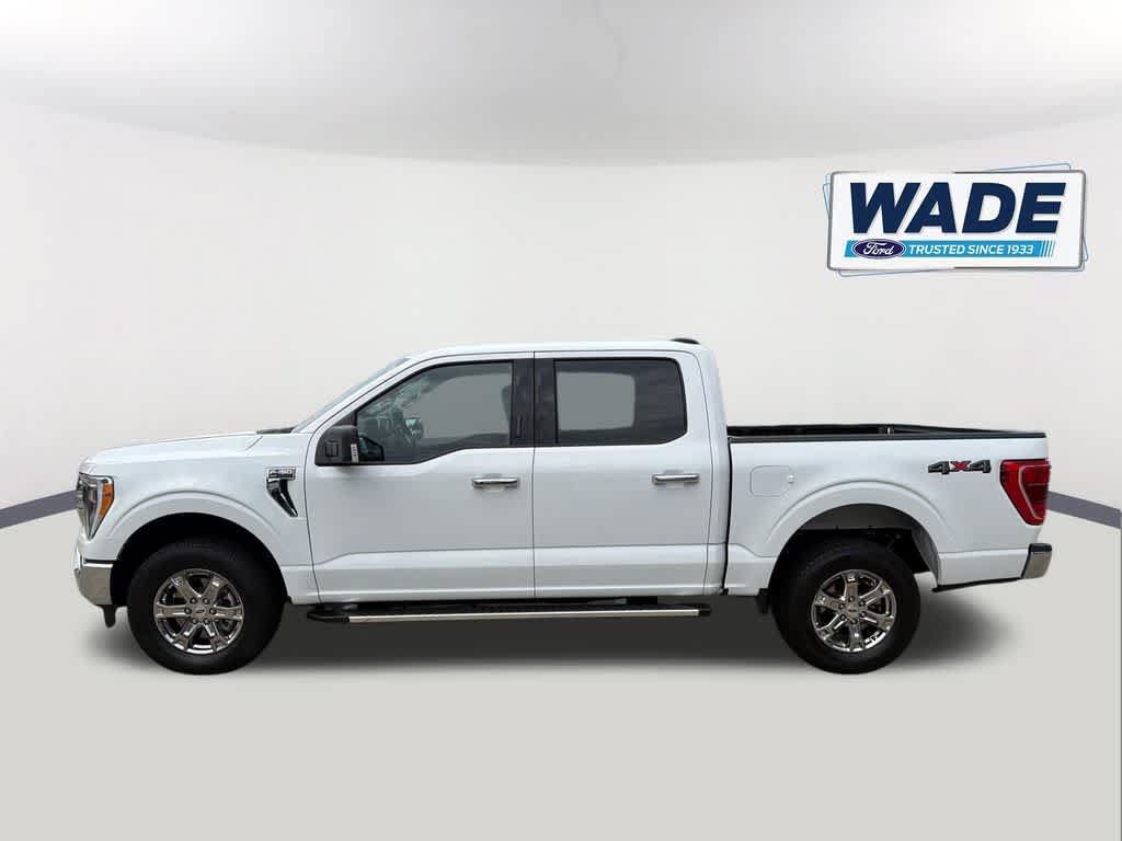 Used 2023 Ford F150 XLT w/ Equipment Group 302A High AWD/4WD image 8