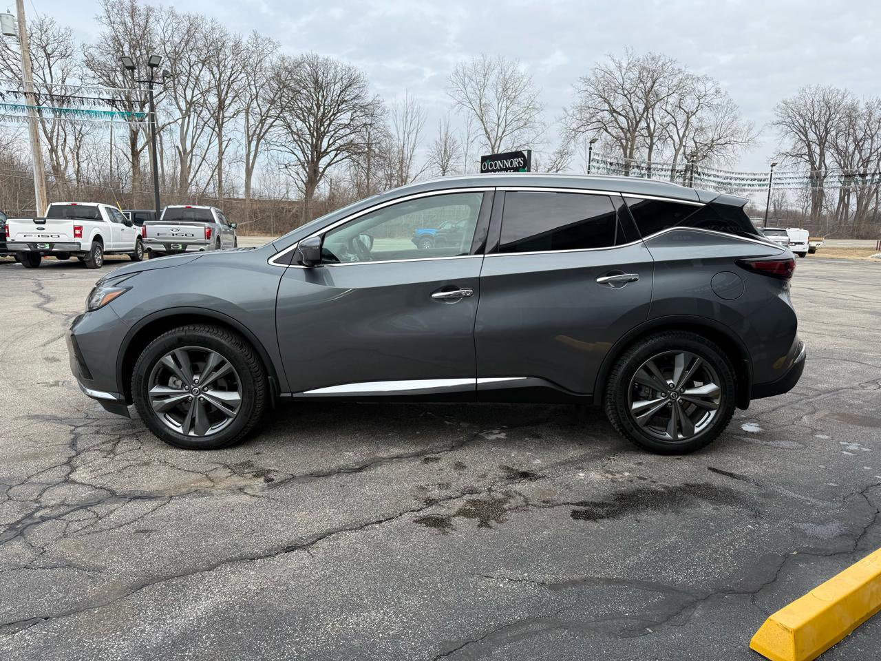 Used 2020 Nissan Murano Platinum image 6