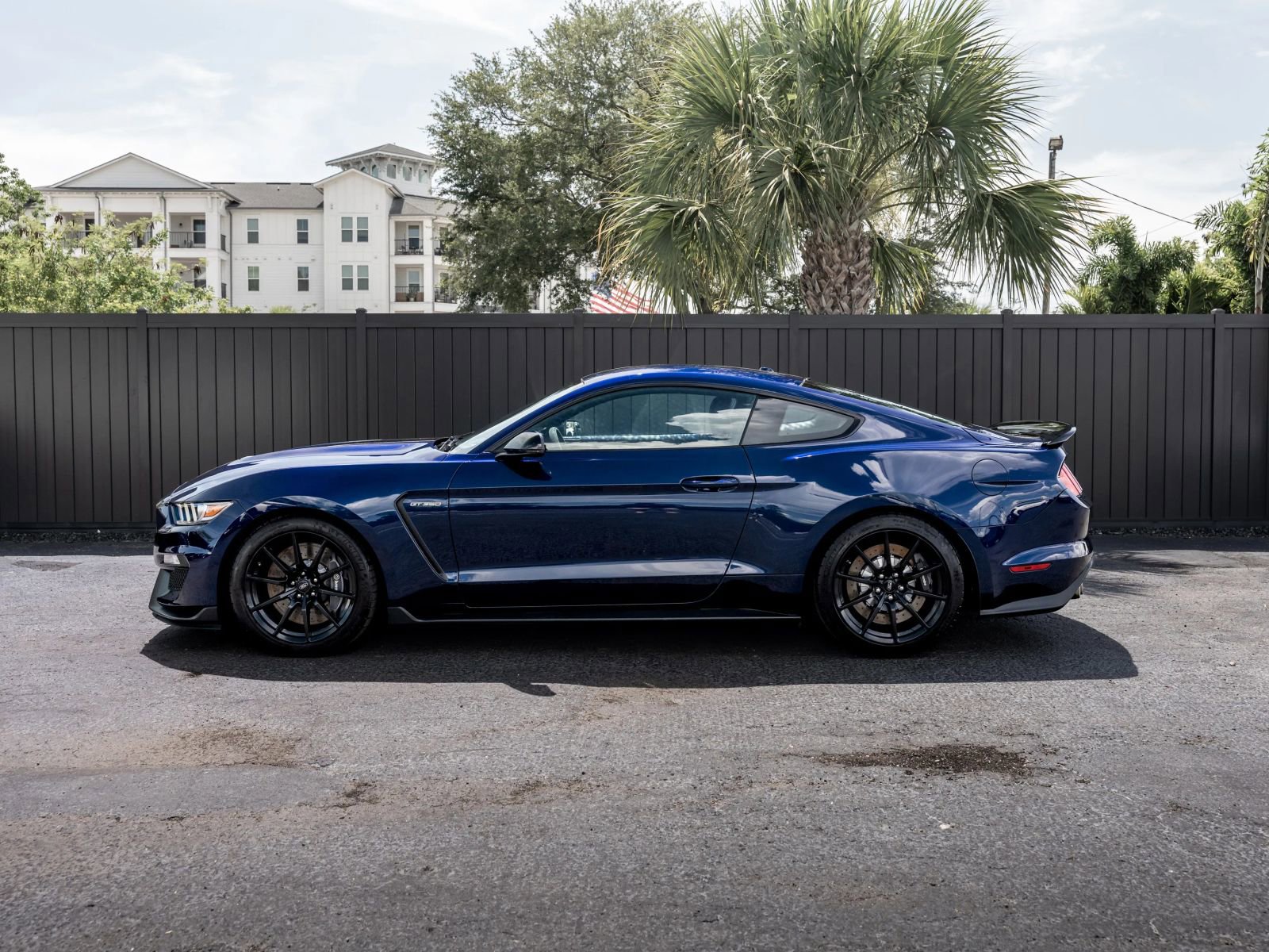Used 2018 Ford Mustang Shelby GT350 w/ Convenience Package RWD image 7