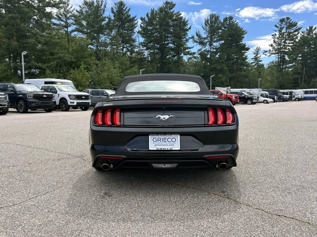 Used 2023 Ford Mustang Premium w/ Equipment Group 201A RWD image 4