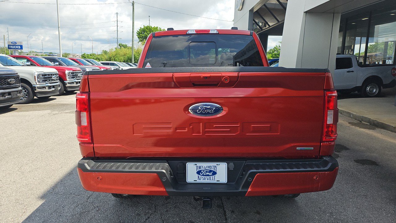 Used 2023 Ford F150 XLT w/ Equipment Group 302A High AWD/4WD image 5
