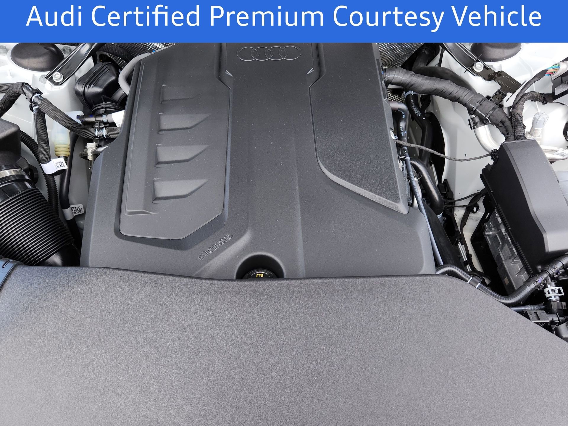 Certified 2025 Audi Q5 Premium Plus w/ Premium Plus AWD/4WD image 10