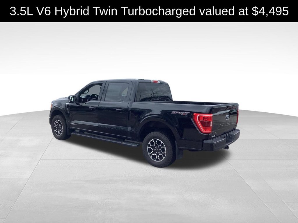 Used 2023 Ford F150 XLT w/ Equipment Group 302A High AWD/4WD image 5