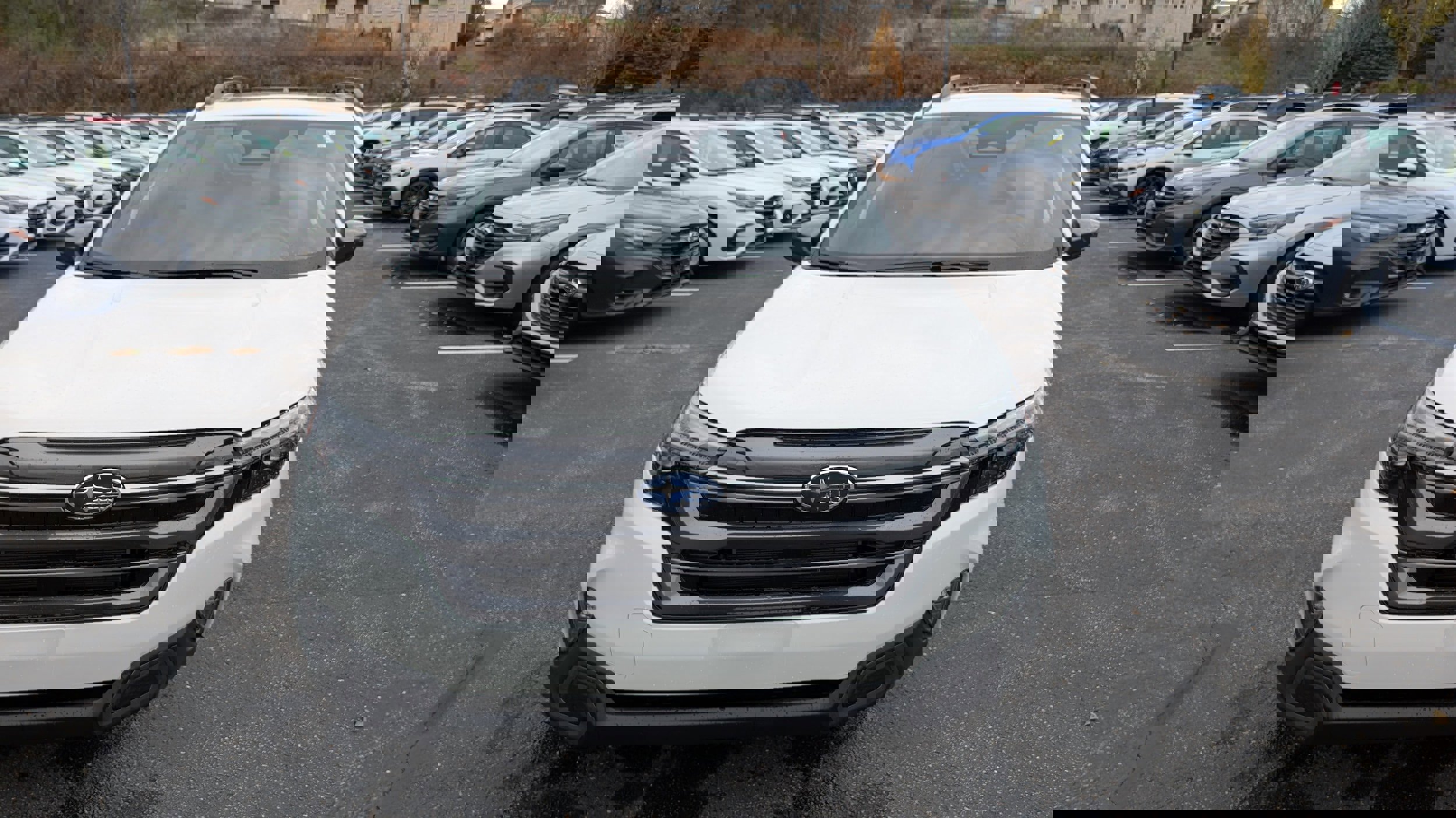 New 2025 Subaru Forester Limited image 5