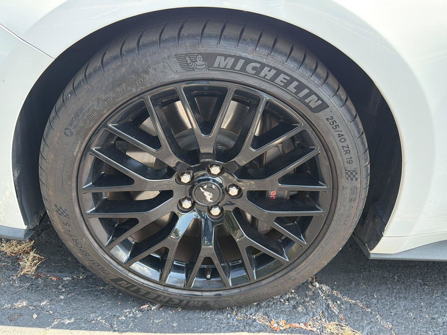 Used 2019 Ford Mustang GT Premium w/ GT Performance Package RWD image 9