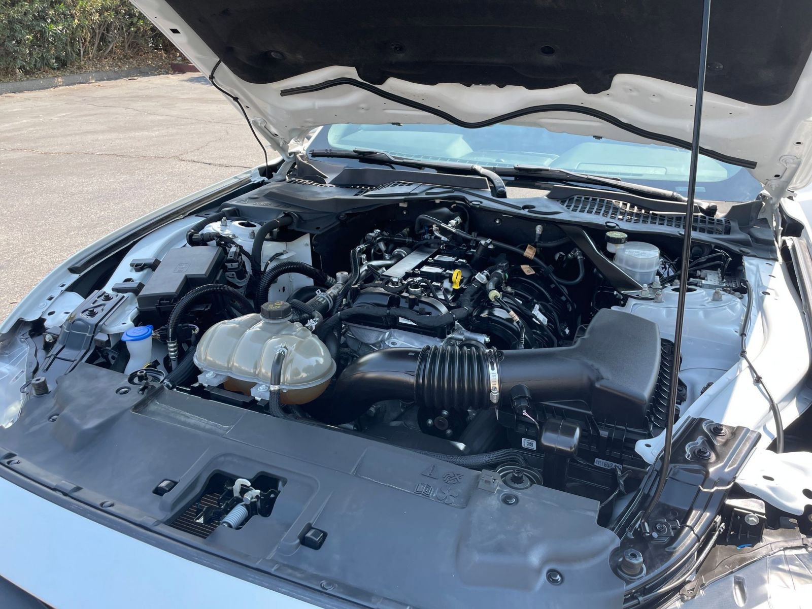 Used 2023 Ford Mustang Premium image 31