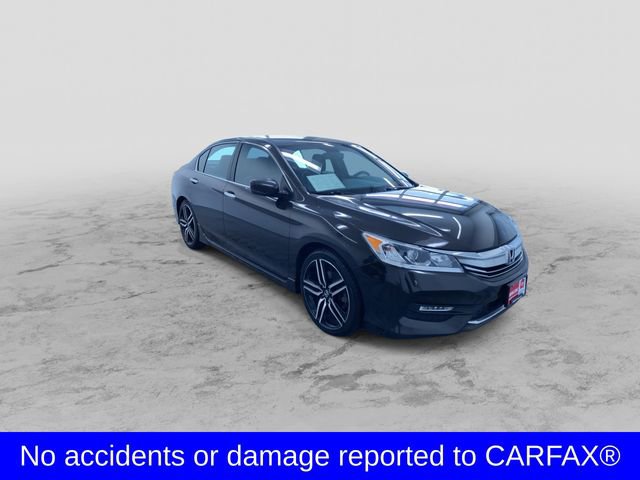 Used 2017 Honda Accord Sport Special Edition image 3