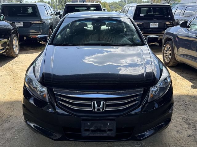 Used 2012 Honda Accord EX-L image 4