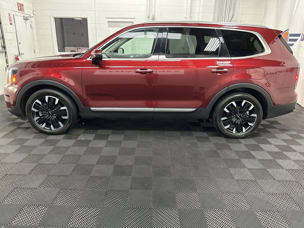 Used 2023 Kia Telluride SX Prestige image 6