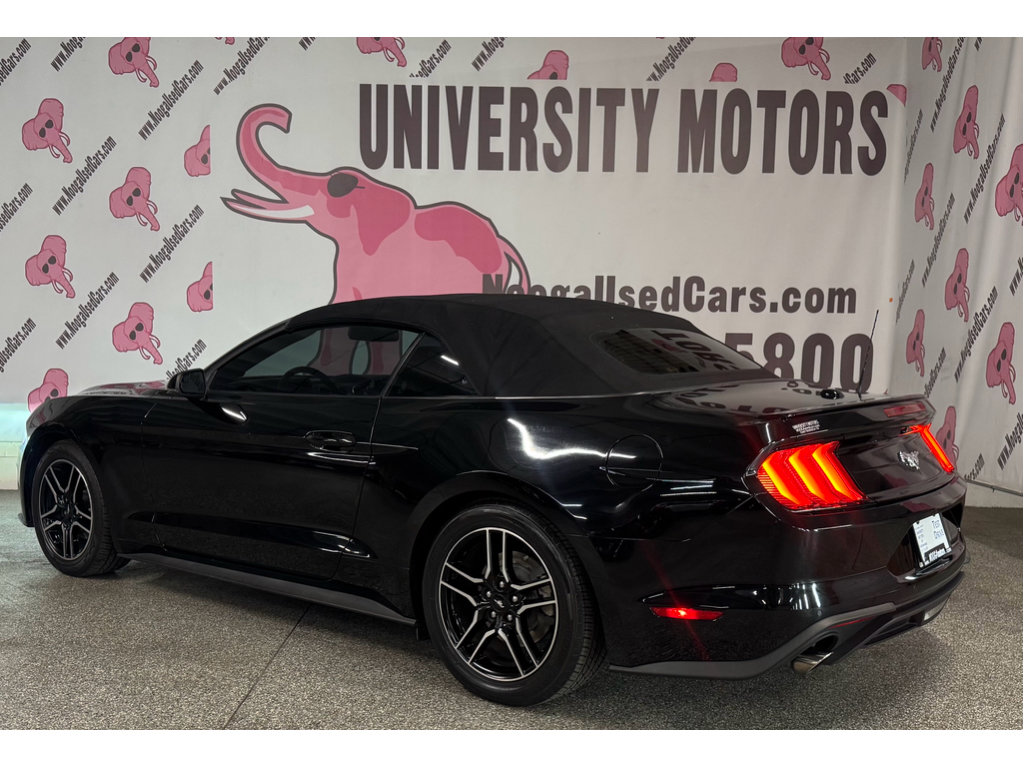 Used 2018 Ford Mustang Premium w/ Equipment Group 201A RWD image 14