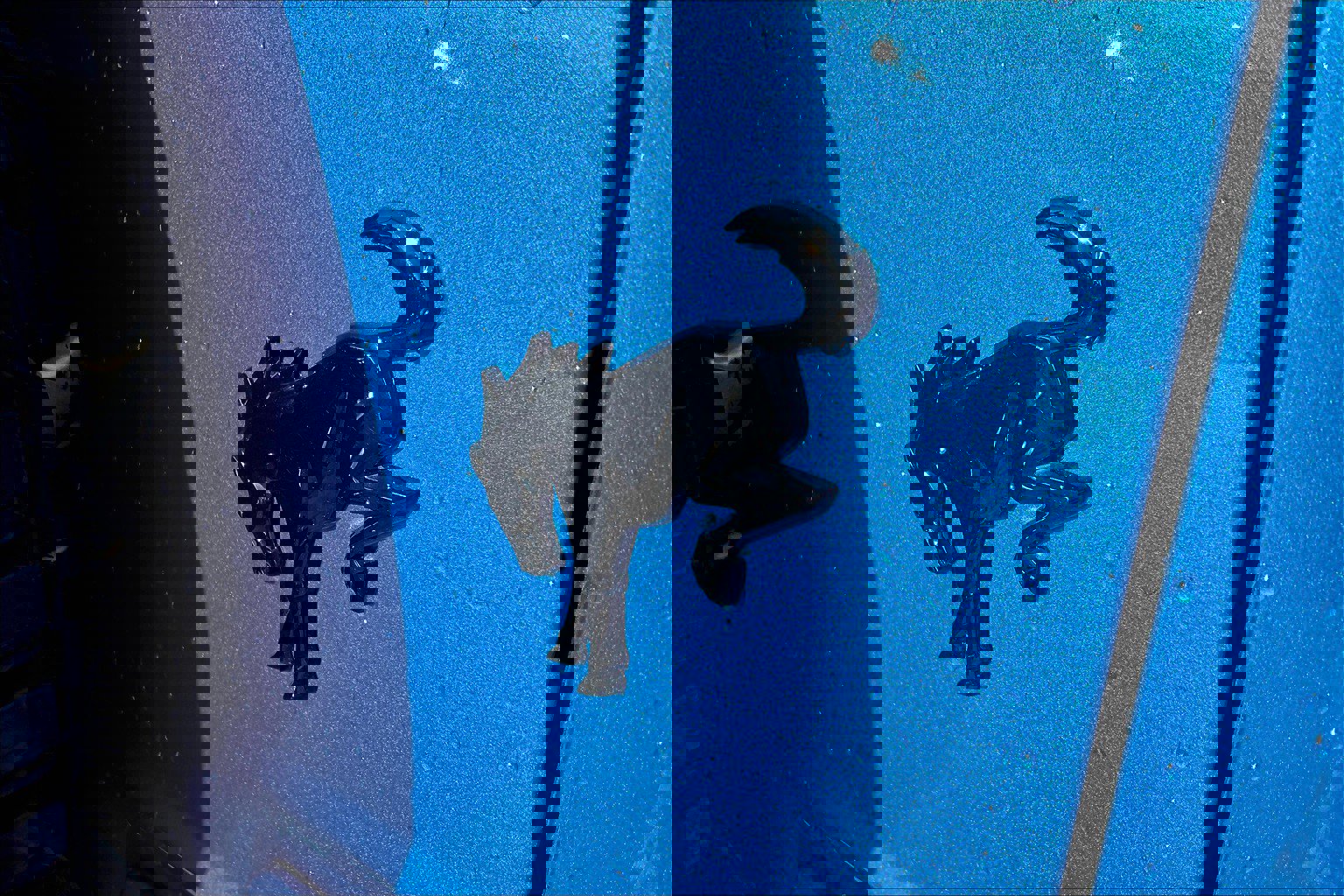 Used 2022 Ford Bronco Wildtrak image 8