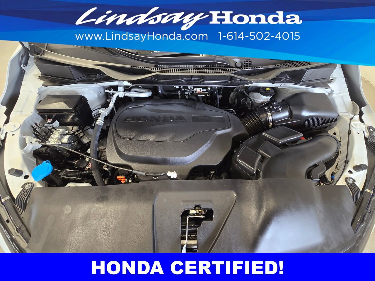 Certified 2026 Honda Odyssey Elite image 25