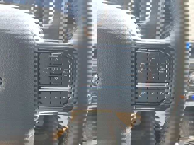 New 2025 Ford F150 Platinum image 19