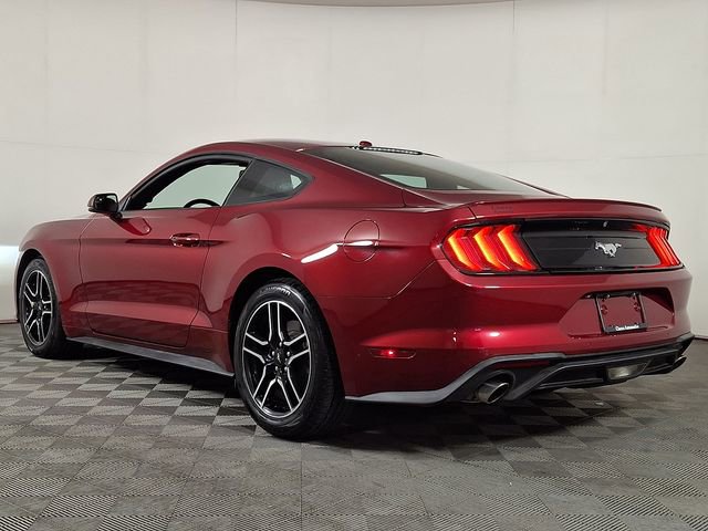 Used 2018 Ford Mustang Premium image 7