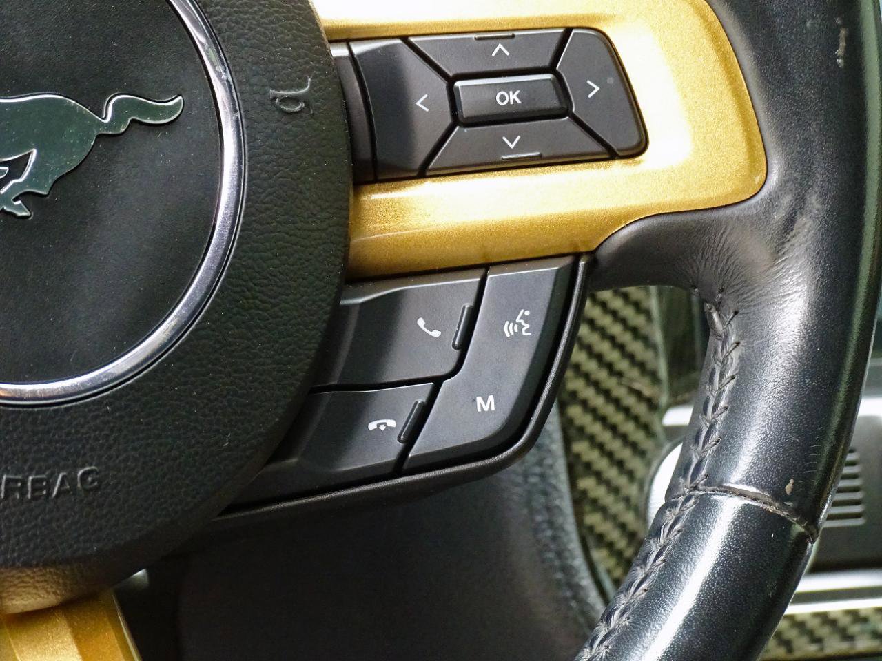 Used 2019 Ford Mustang Premium RWD image 18