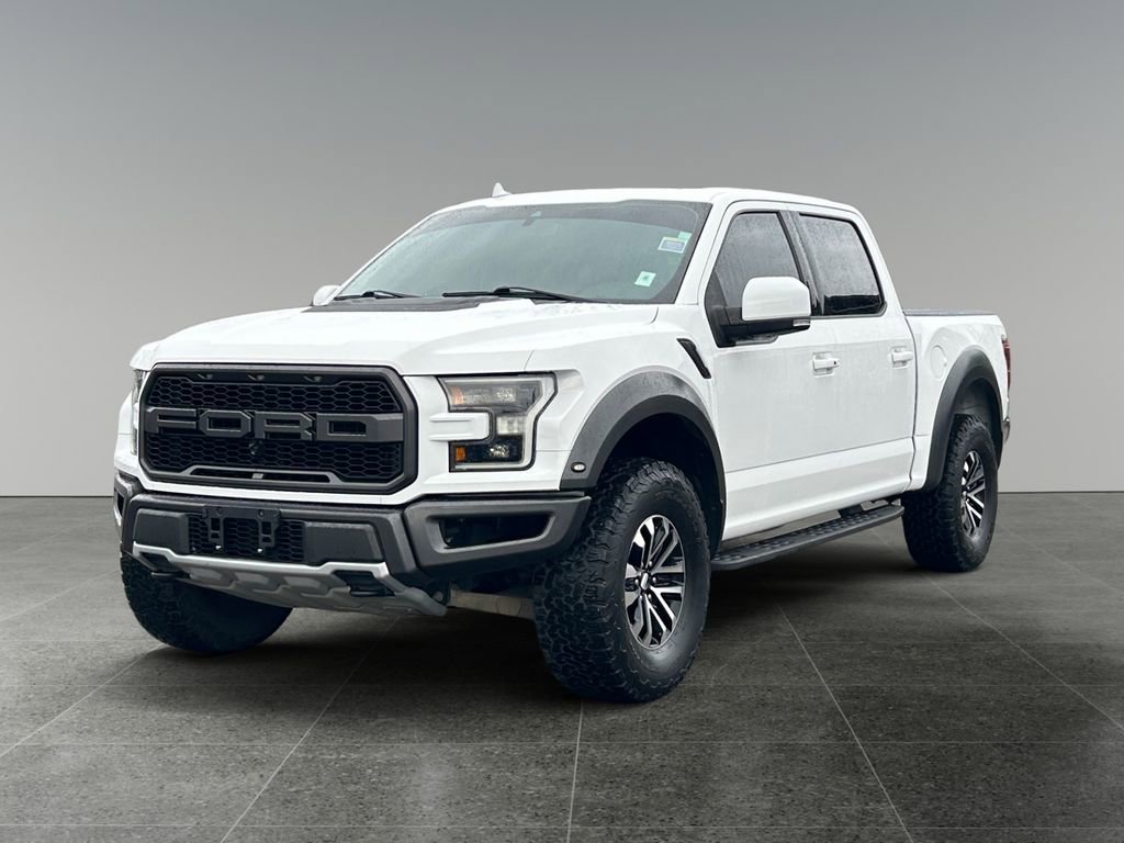 Used 2019 Ford F150 Raptor w/ Equipment Group 802A Luxury image 3