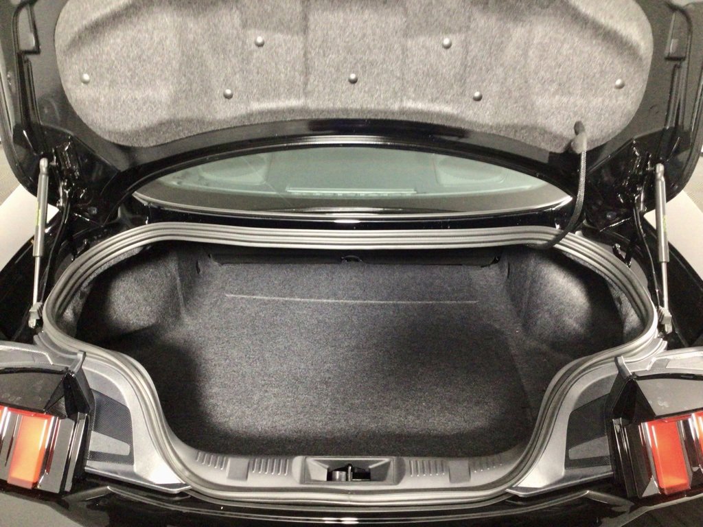 New 2025 Ford Mustang Premium image 29