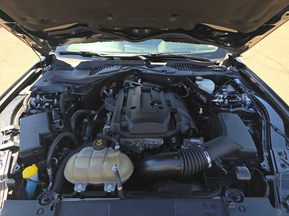 Used 2019 Ford Mustang Premium RWD image 18