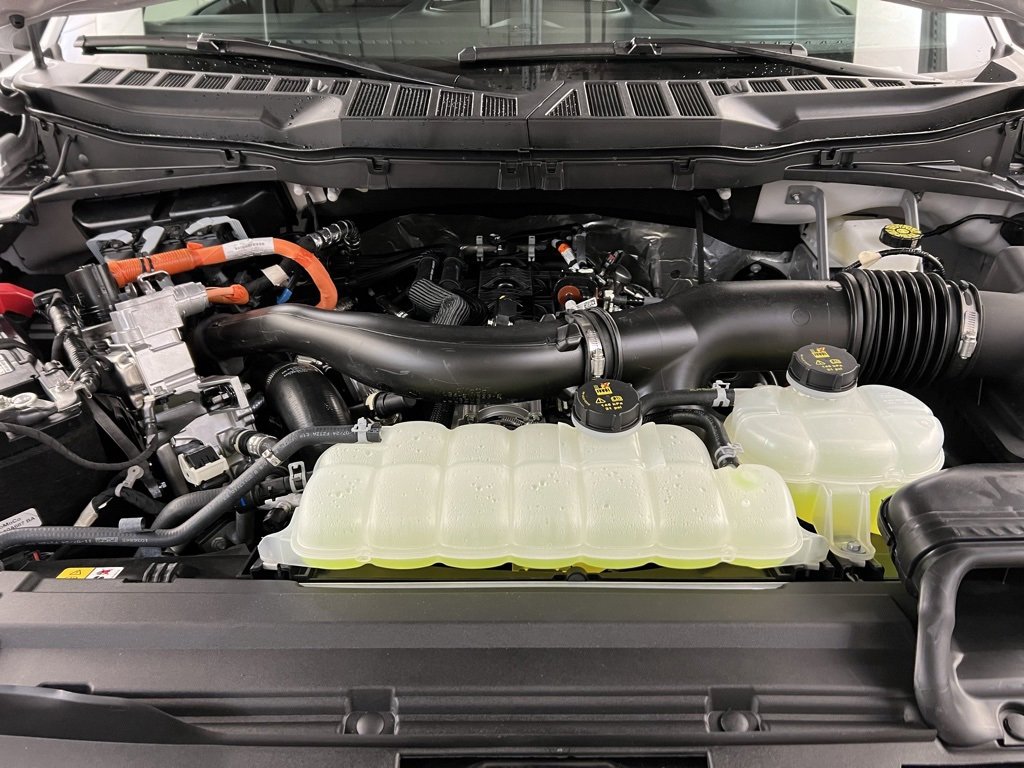 New 2025 Ford F150 XLT w/ Equipment Group 302A MID image 40