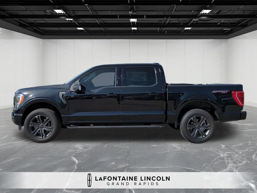 Used 2023 Ford F150 XLT w/ Equipment Group 302A High AWD/4WD image 2