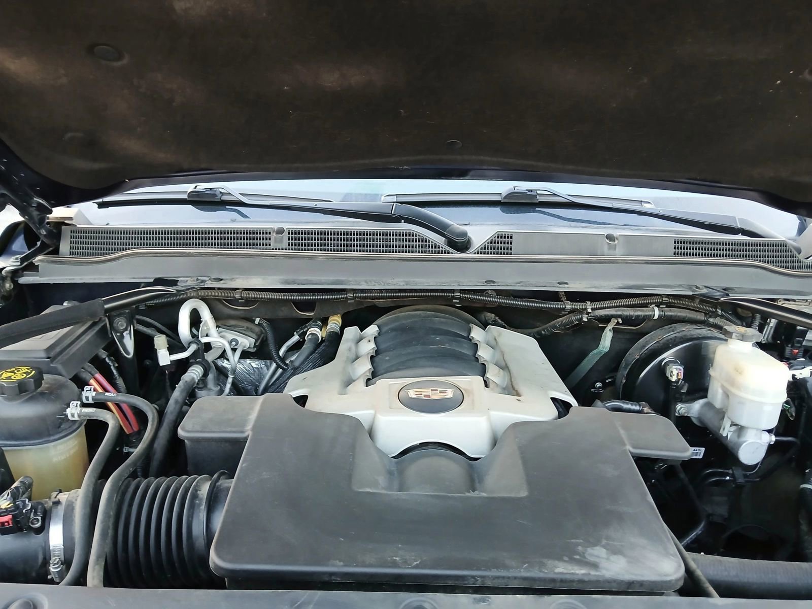 Used 2019 Cadillac Escalade 2WD image 21