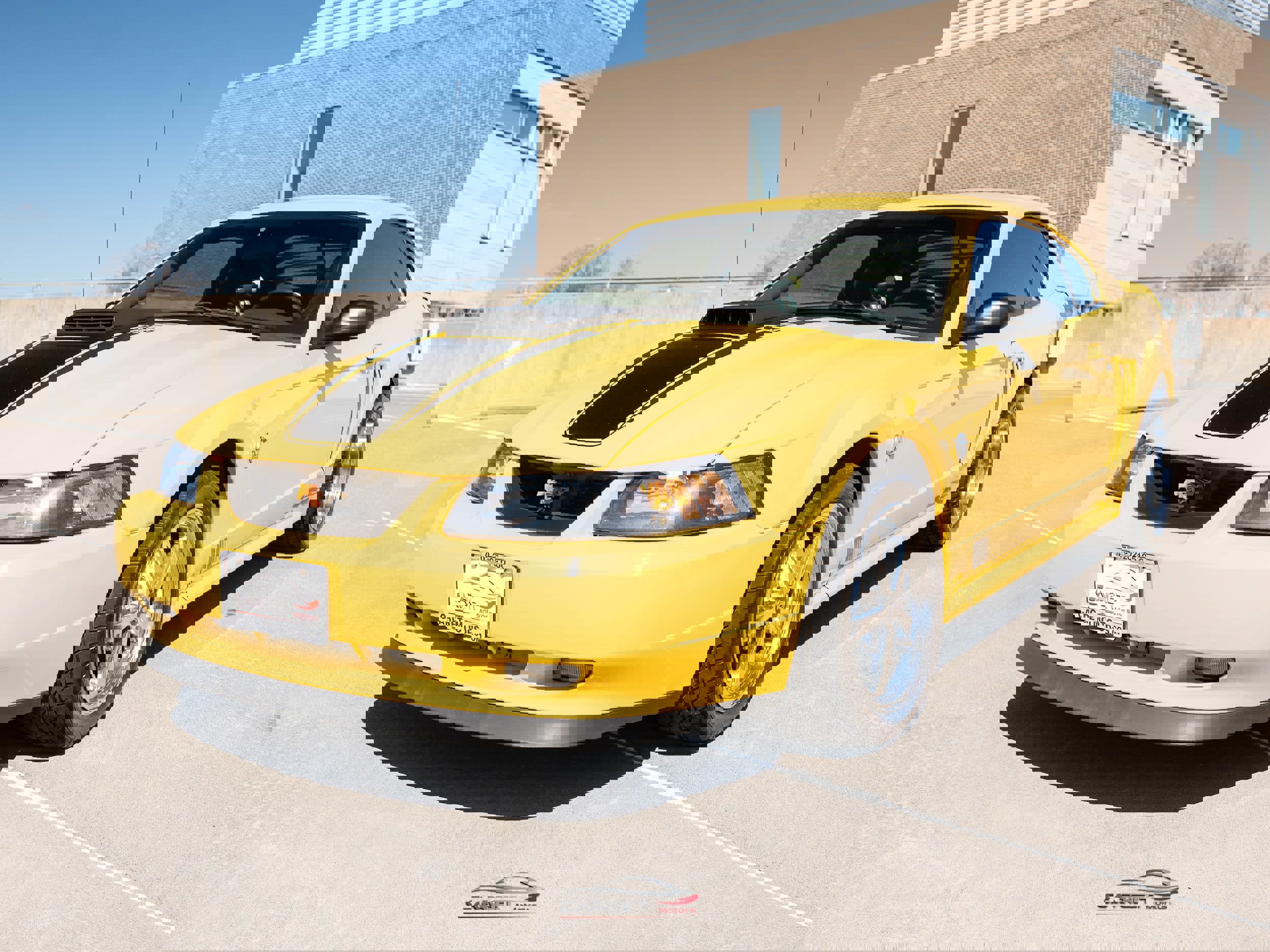 Used 2004 Ford Mustang Mach 1 image 3