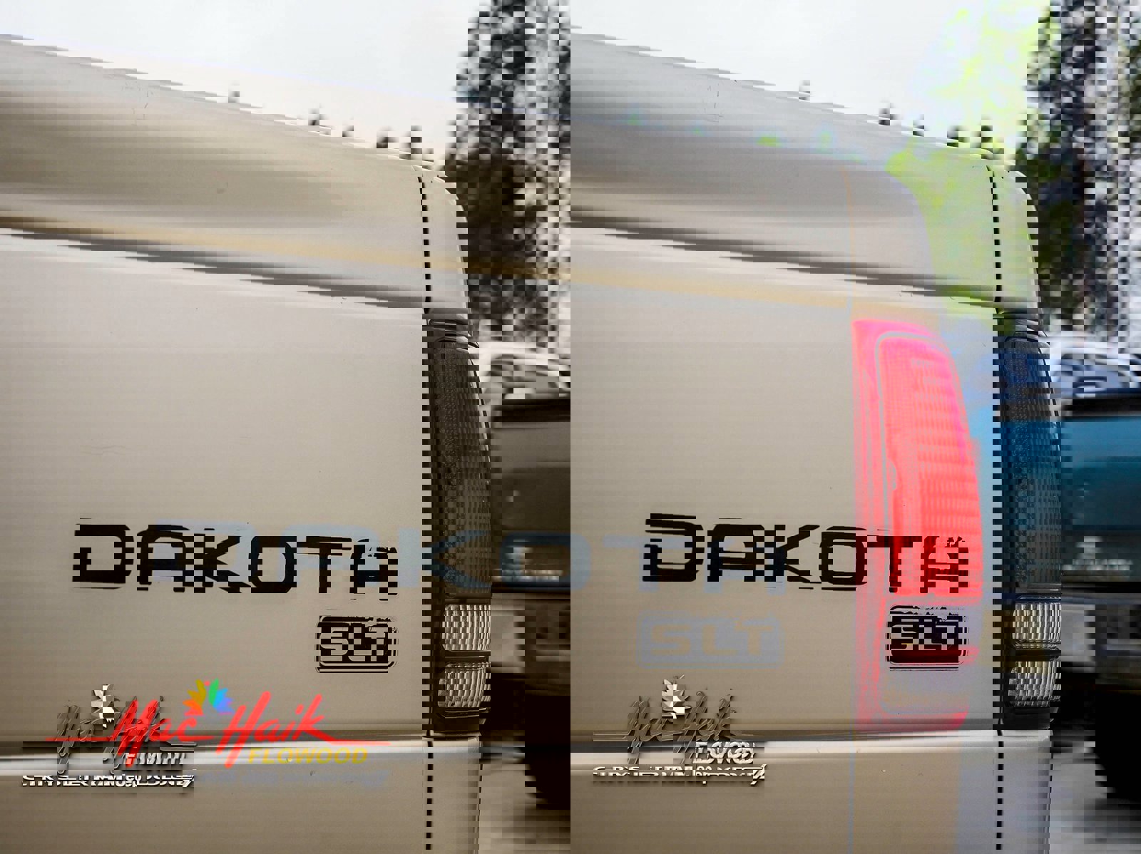 Used 2003 Dodge Dakota SLT image 7