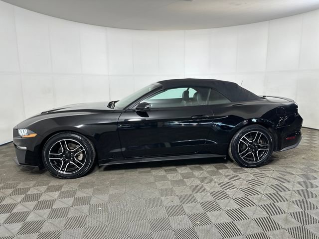 Used 2023 Ford Mustang Premium image 6