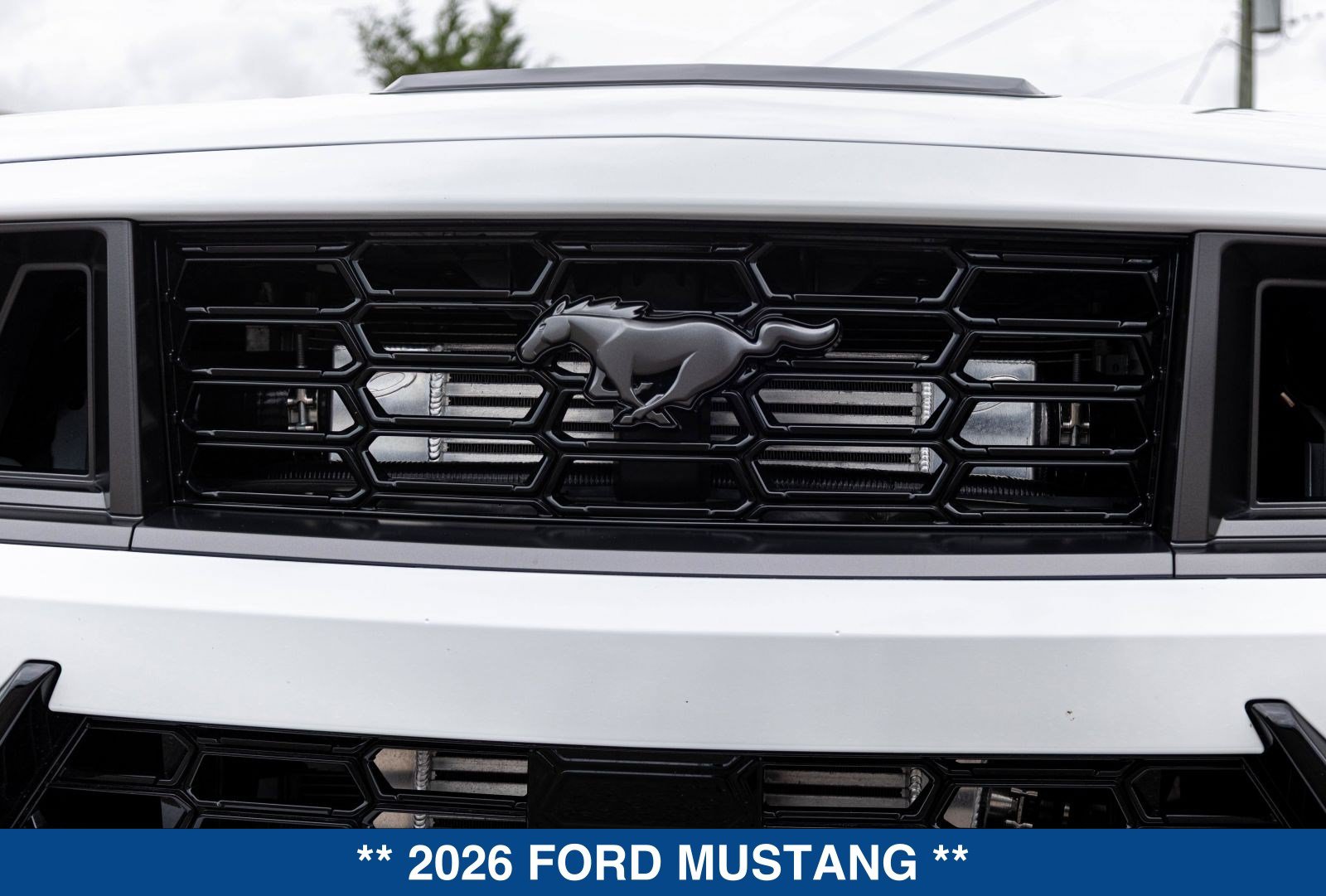 New 2026 Ford Mustang Dark Horse RWD image 18