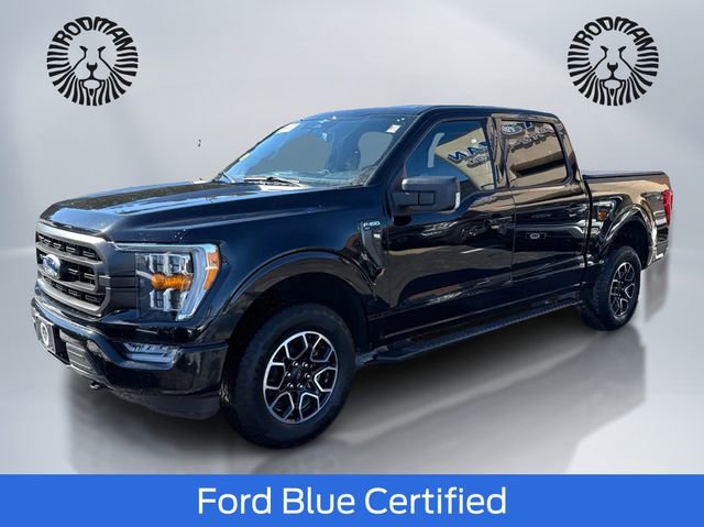 Certified 2023 Ford F150 XLT w/ Equipment Group 302A High image 1