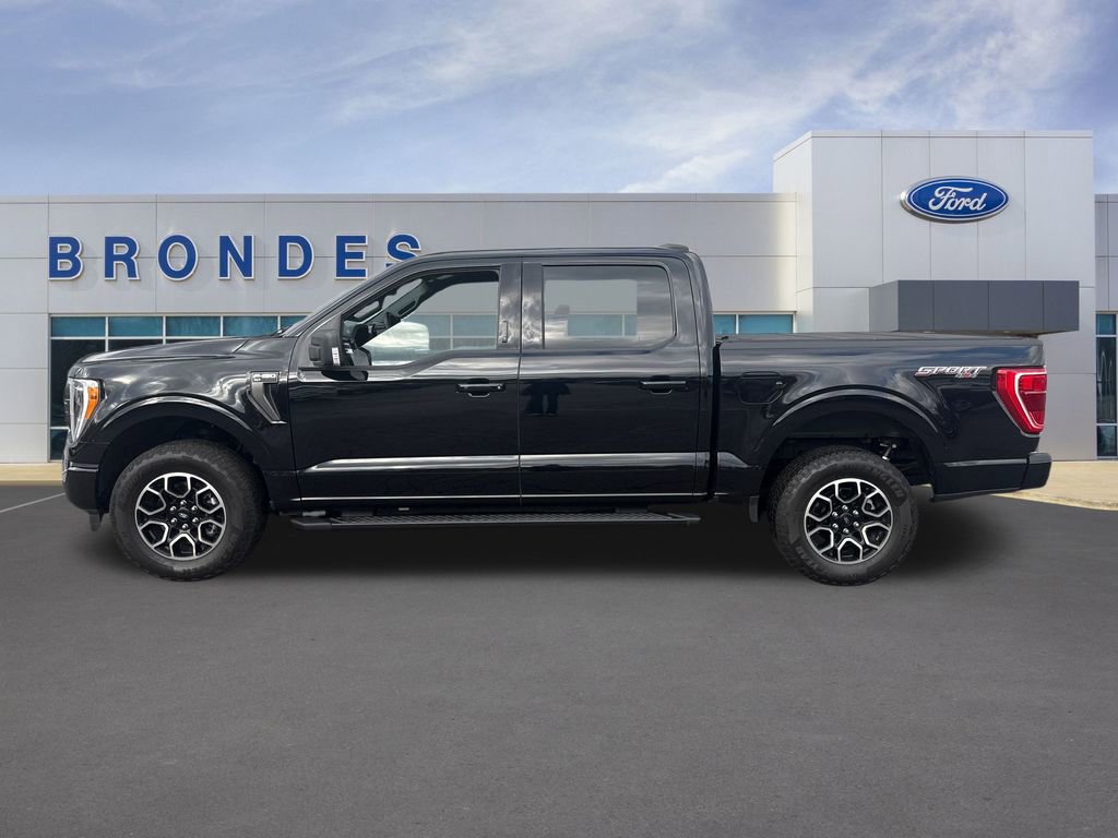 Used 2023 Ford F150 XLT w/ Equipment Group 302A High
