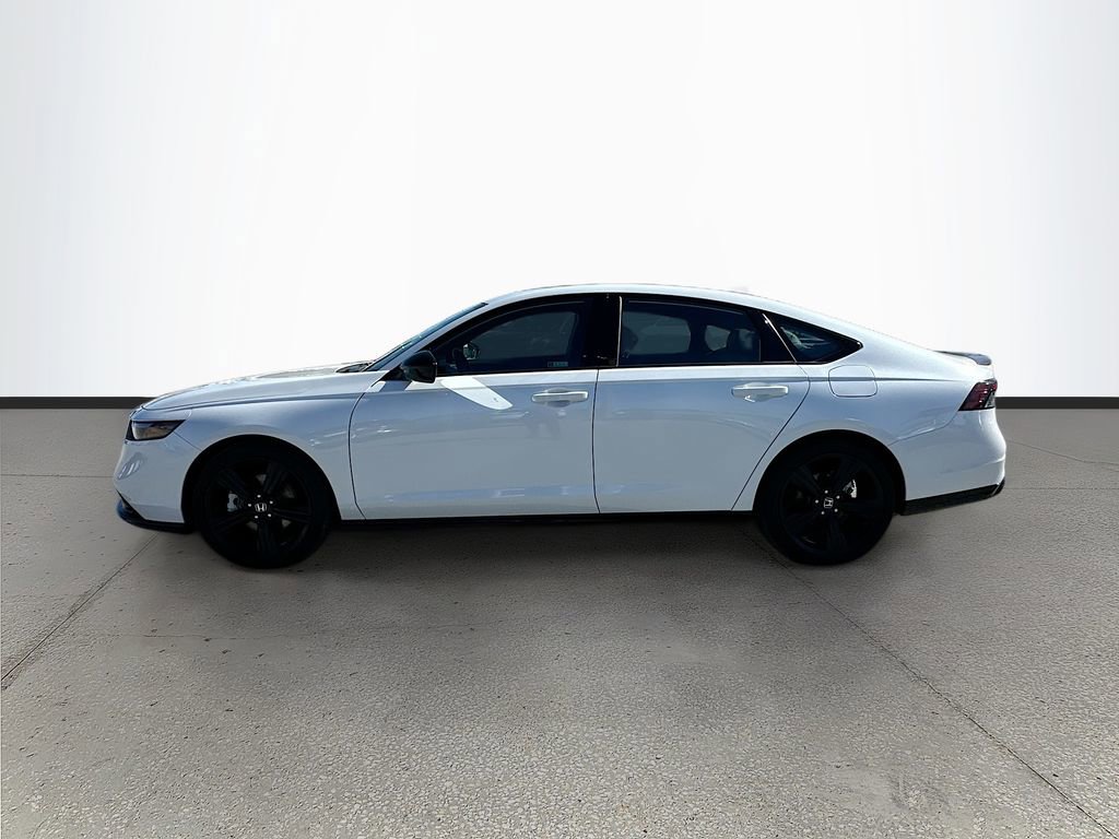 Used 2024 Honda Accord Sport image 4