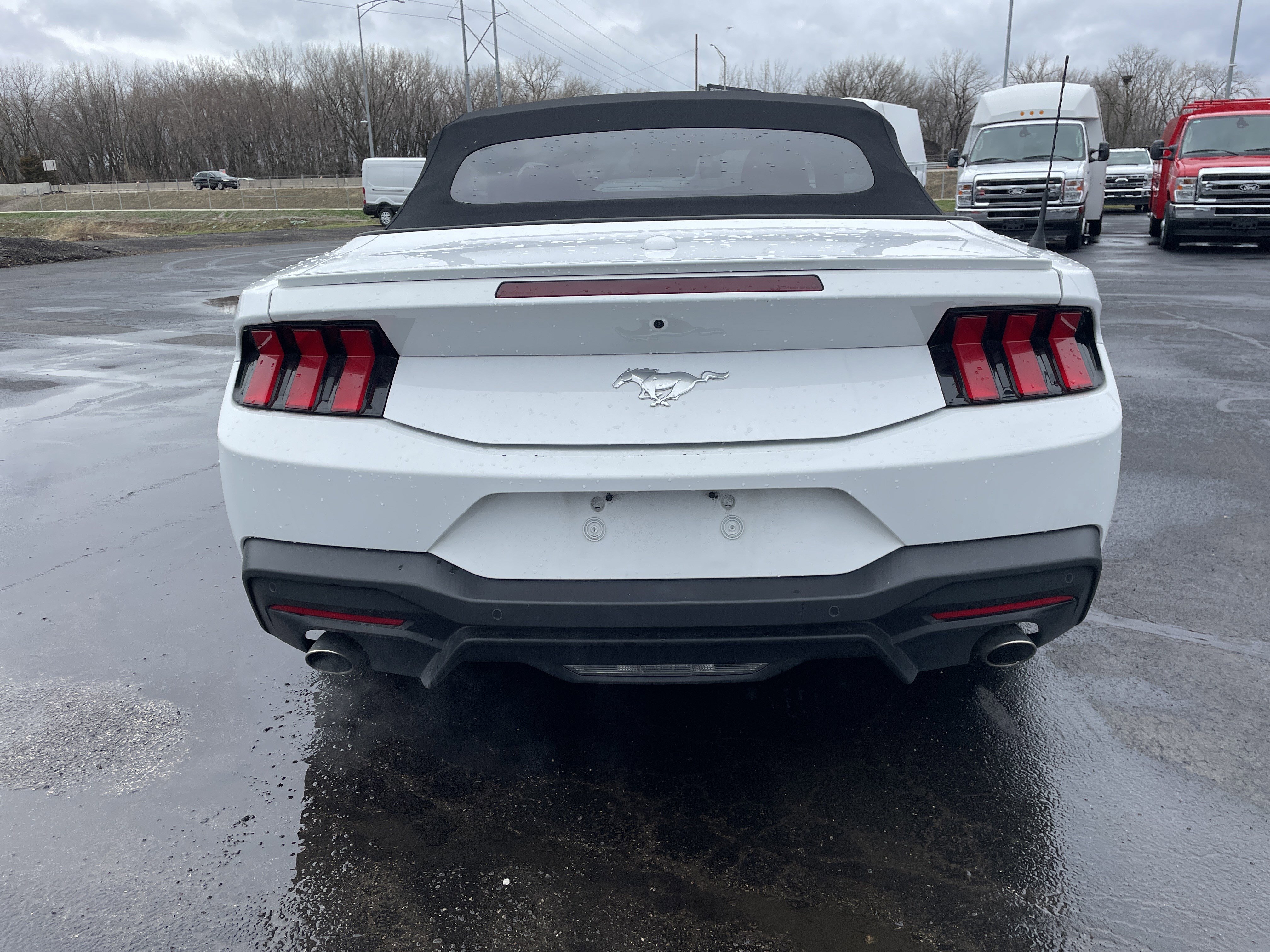 Used 2024 Ford Mustang Premium image 4