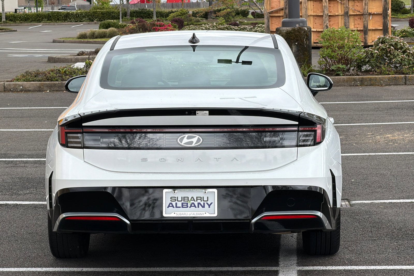 Used 2024 Hyundai Sonata SEL image 5