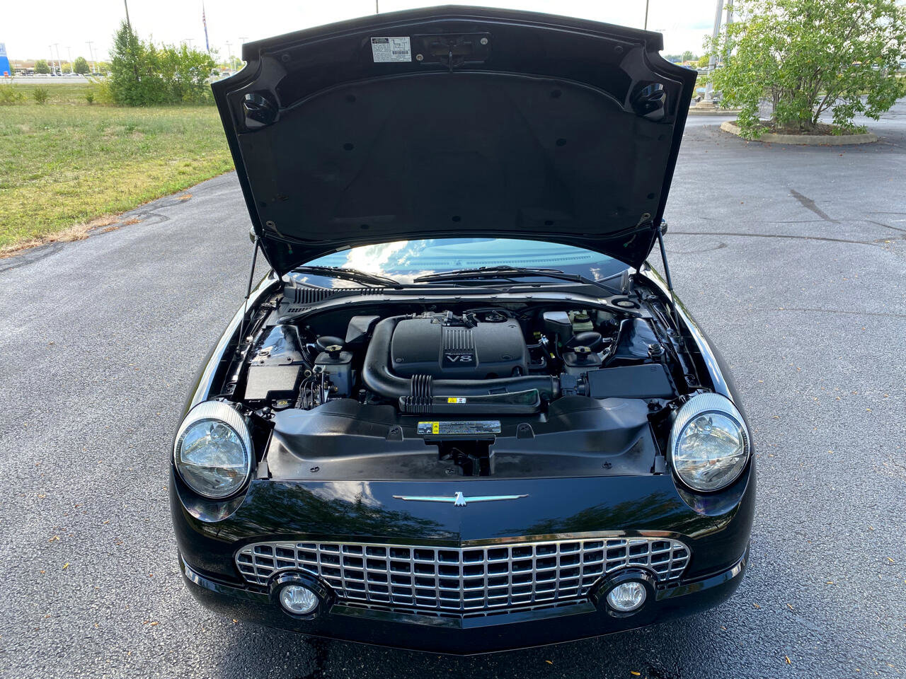Used 2002 Ford Thunderbird Deluxe image 40