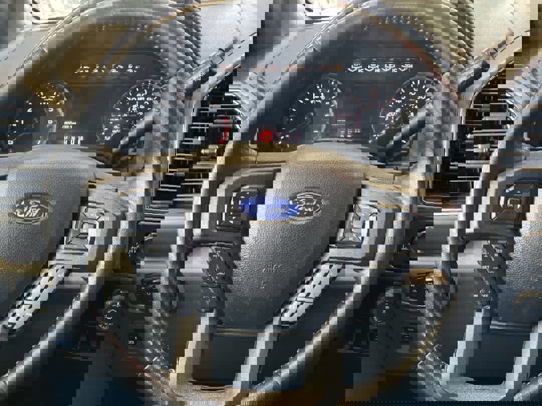 Used 2019 Ford F150 XLT w/ Equipment Group 301A Mid image 16