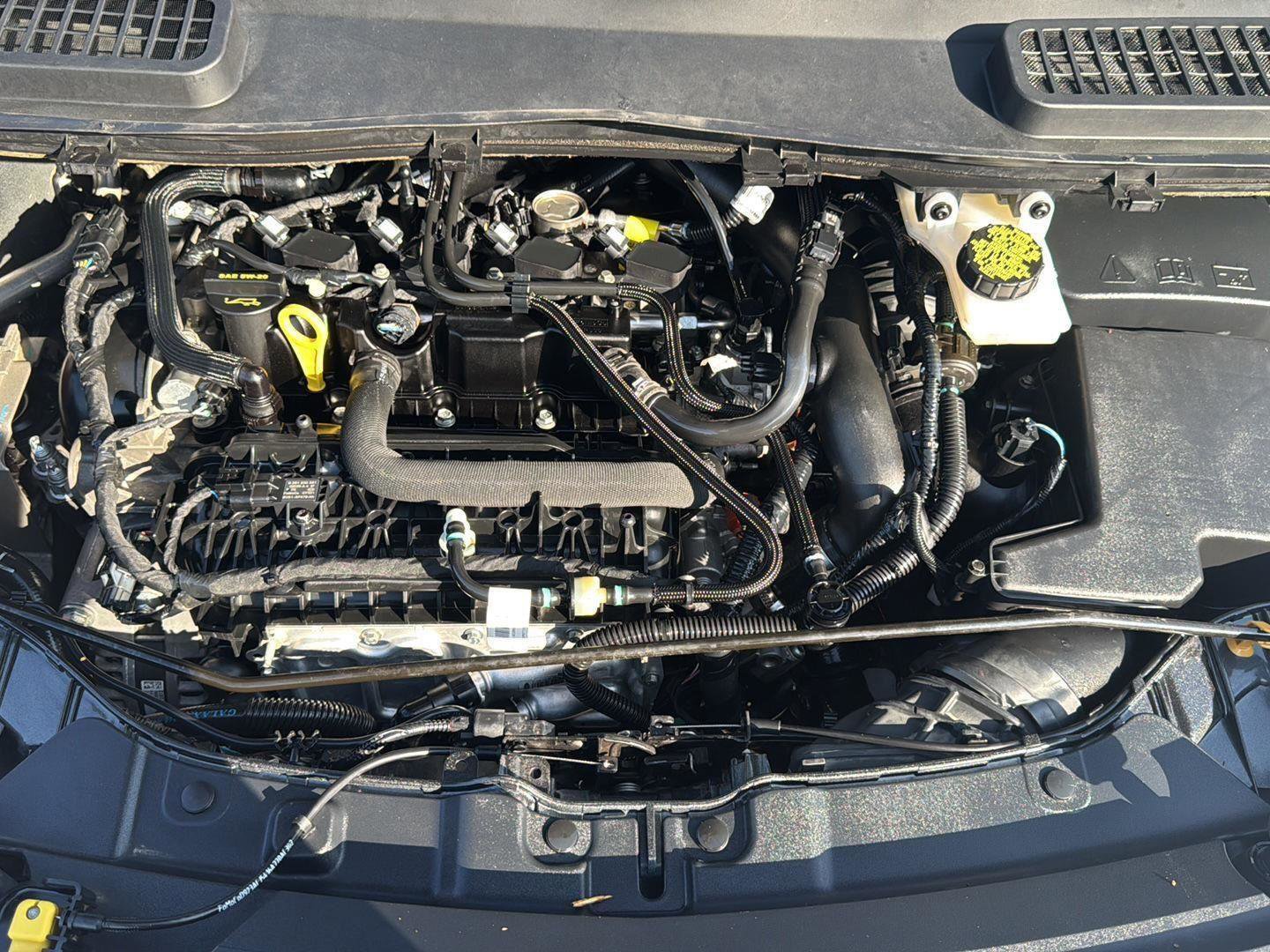 Used 2019 Ford Escape SEL image 30