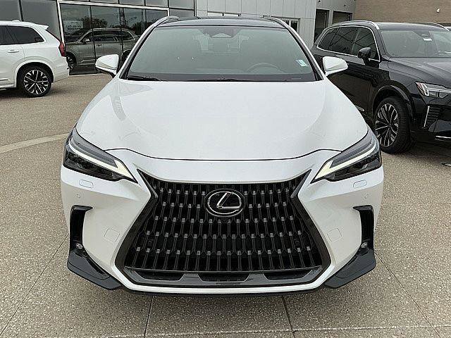 Used 2025 Lexus NX 350h AWD w/ Accessory Package (2T) image 13