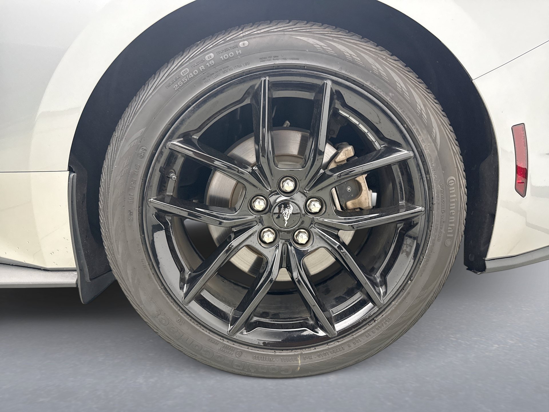 Used 2024 Ford Mustang Premium RWD image 21